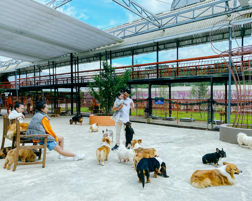 Địa điểm sống ảo Đà Lạt