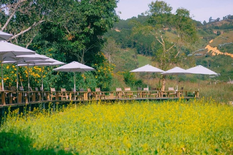 Địa điểm sống ảo Đà Lạt