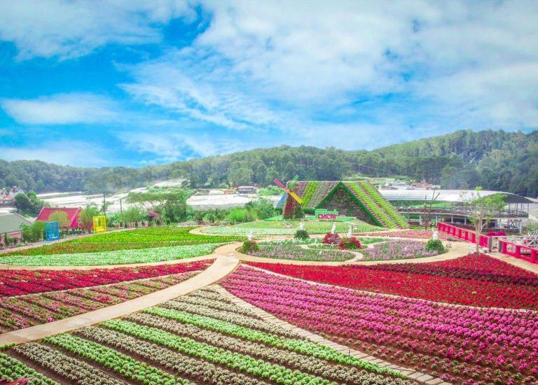 vườn hoa đẹp Đà Lạt